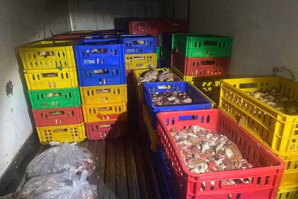 Sản phẩm động vật không có giấy tờ nguồn gốc xuất xứ, không đạt yêu cầu vệ sinh thú y. (Ảnh: CCCN&TY)