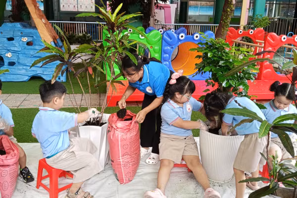 Bà Nguyễn Ngọc Giàu - Hiệu trưởng Trường Mầm non Hoa Hồng tham gia trồng cây cùng trẻ. 