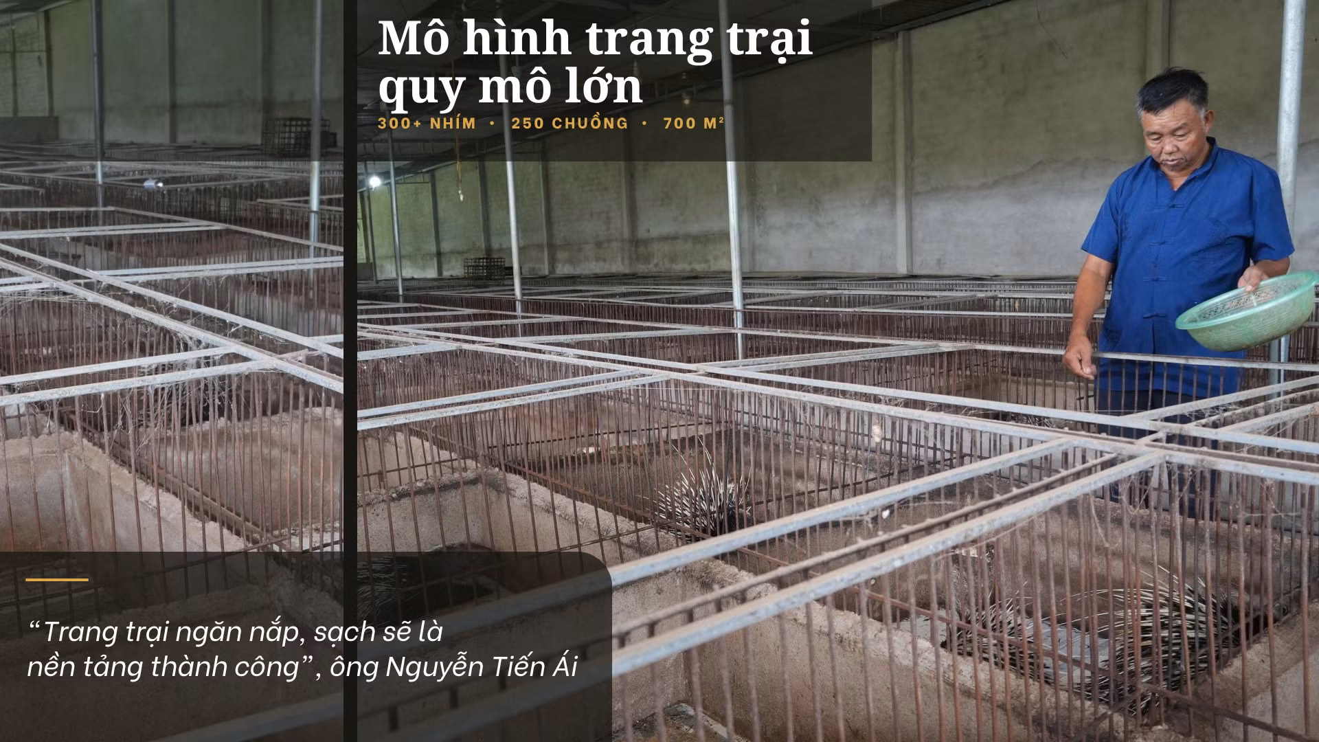 mo-hinh-trang-trai-quy-mo-lon.png