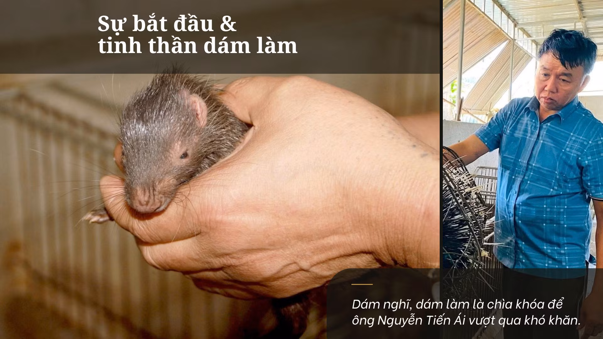 su-bat-dau-tinh-than-dam-nghi-dam-lam.png