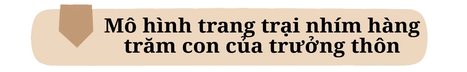 ongai1.png