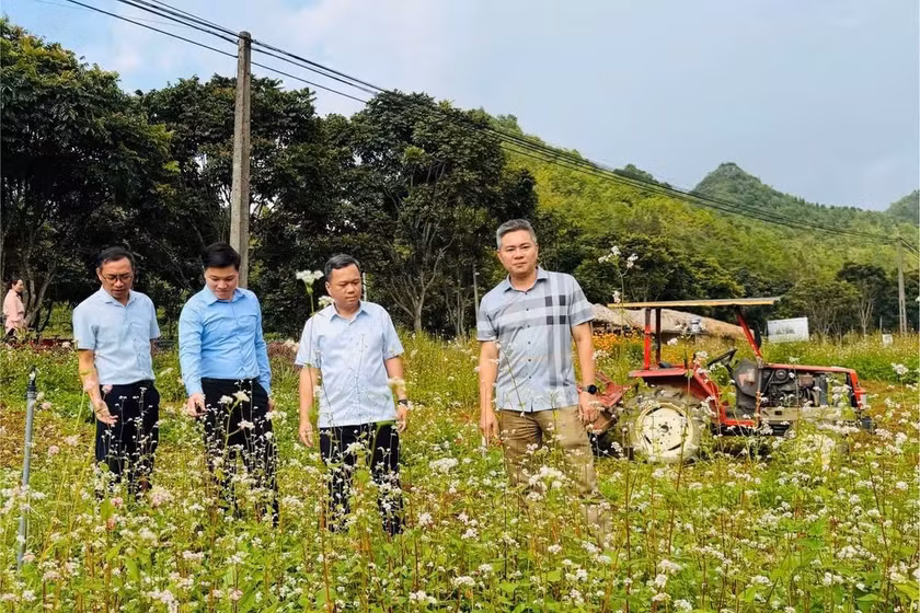Ông Đỗ Hùng Đức kiểm tra công tác trồng hoa tại điểm dừng chân Núi Đôi, xã Quản Bạ.