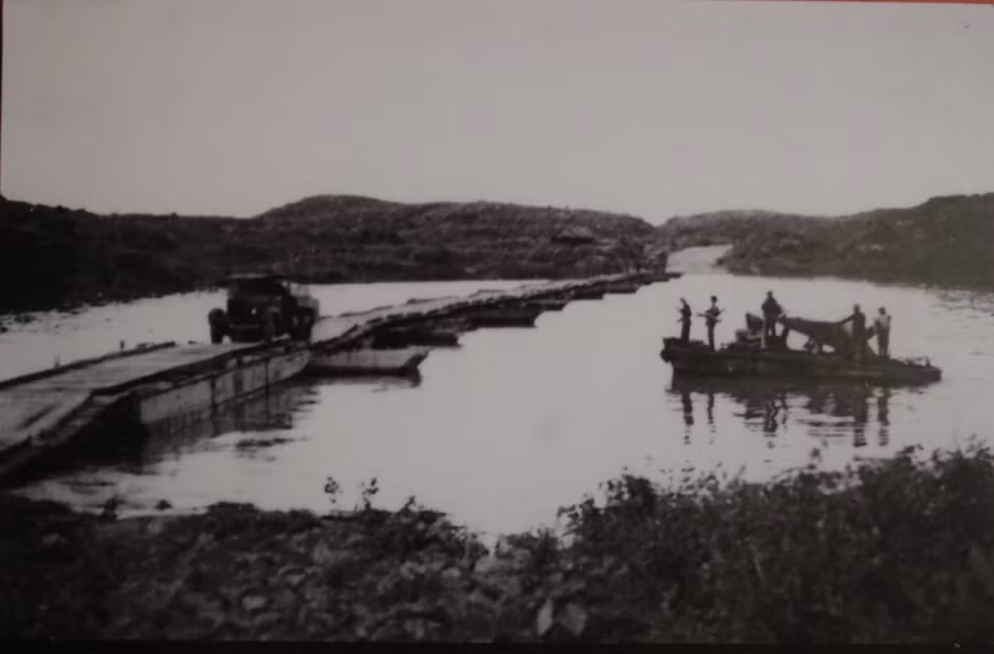 tt-269.jpg