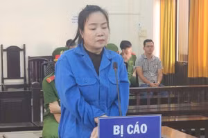 Trương Bích Thắm, lĩnh 13 năm tù về tội "Lạm dụng tín nhiệm chiếm đoạt tài sản". (Ảnh: Văn Vũ)