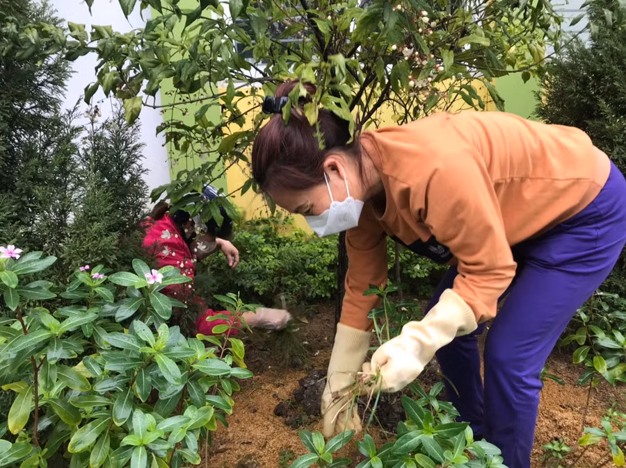 Các cô giáo tranh thủ xới đất, nhặt cỏ và chăm sóc cây xanh.