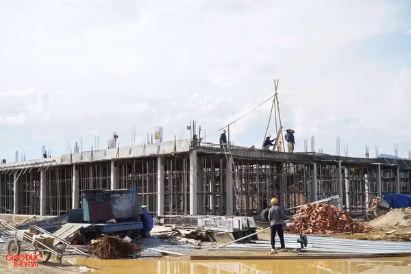 Dự án Trường Phổ thông nội trú liên cấp Tiểu học và THCS Môn Sơn (Nghệ An).