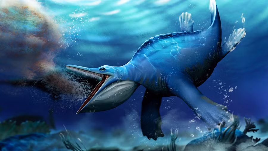 Hupehsuchus nanchangensis sống ở các đại dương của Trái đất từ 247 triệu đến 249 triệu năm trước. 