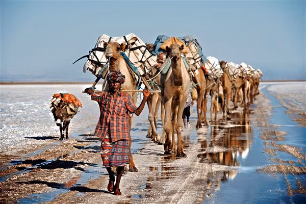 Sa mạc Danakil - nóng bỏng mà hấp dẫn ảnh 3