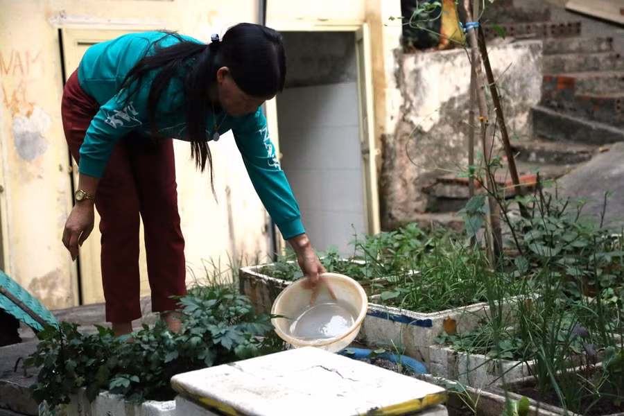Các bệnh nhân trồng thêm rau ở khu xóm trọ. Ảnh: B.M.