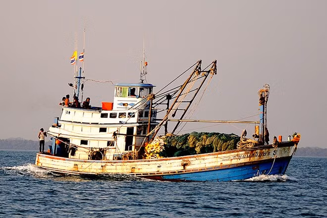 Indonesia bắt một thuyền trưởng Thái Lan nghi đánh bắt trái phép