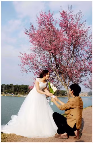Đà Lạt - Mùa hoa Anh đào ảnh 2