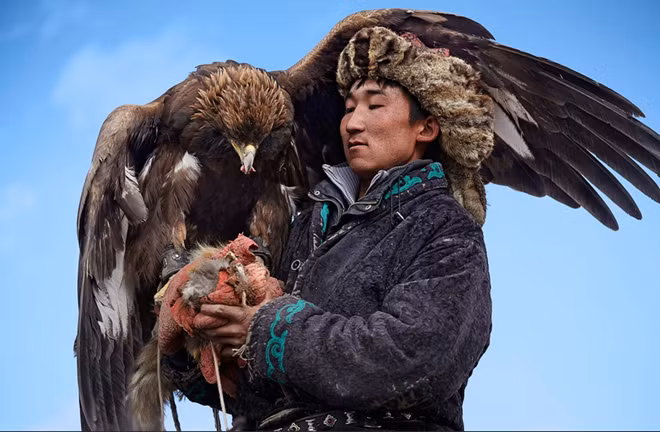 Sau một cuộc đi săn thành công, người đàn ông này thưởng cho con đại bàng của anh ta lá phổi của con mồi. Đó là phần thưởng lớn nhất đối với nó. Đi săn cùng đại bàng tại thảo nguyên Mông Cổ