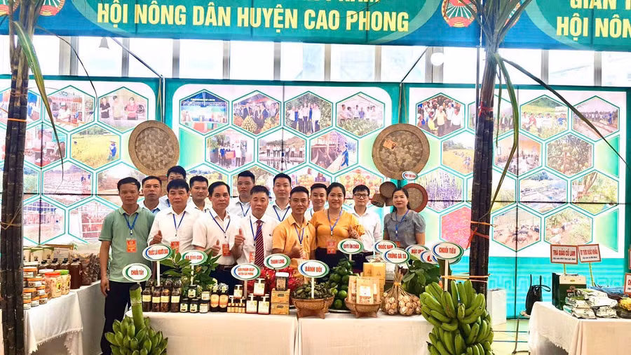 Các đại biểu tham quan gian hàng trưng bày sản phẩm nông sản.