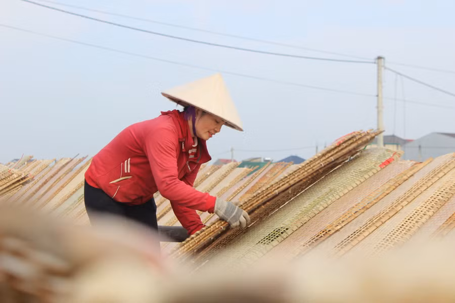 Nghề bánh đa nem giải quyết việc làm cho nhiều lao động ở các vùng lân cận.