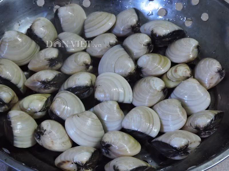 thom nong ngao nuong ngay chom dong hinh anh 1