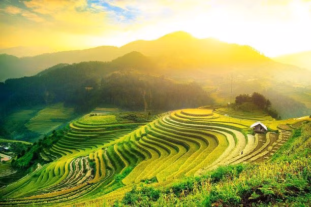 Vùng núi Bắc Bộ thời tiết mát mẻ, thu hút du khách đến với ruộng bậc thang (Internet)
