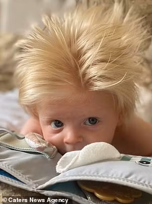 Gia đình chưa vội cắt tóc cho cậu bé vì ... tò mò xem nó phát triển thế nào.