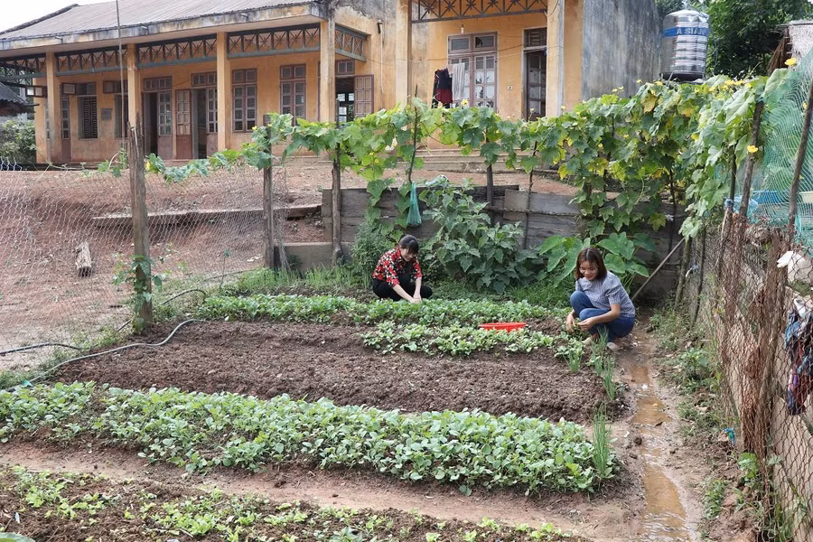 Cô Hiệp và cô Nga chăm sóc vườn rau.
