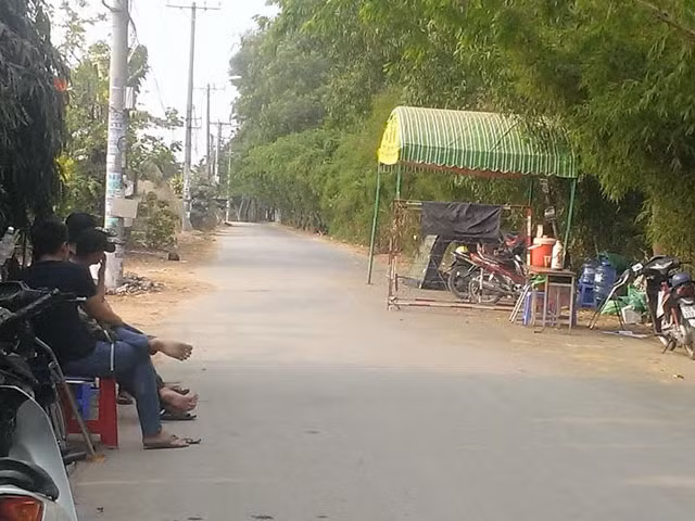 chinh quyen phong toa 37 ho nuoi heo gay o nhiem hinh anh 1