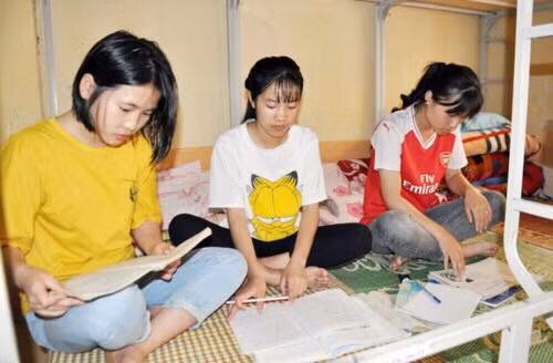 Lào Cai miễn phí chỗ ăn, ở cho hơn 2.000 thí sinh dự thi THPT quốc gia
