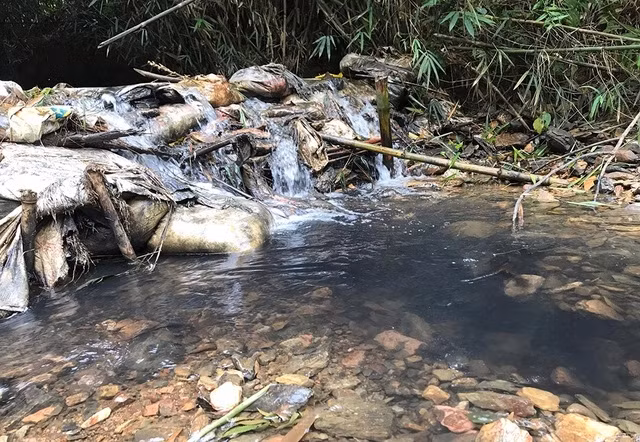 Chất thải đã gây ô nhiễm nghiêm trọng nguồn nước vào Nhà máy nước sạch sông Đà.