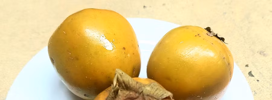 Hồng ngâm