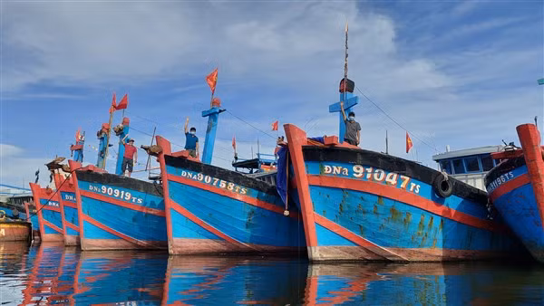 Ba cha con ngư dân Nguyễn Văn Hoàng trên 3 tàu cá có công suất “khủng” chuyên bám ngư trường Hoàng Sa.