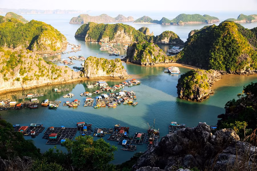 Làng chài Cái Bèo là làng lớn nhất ra đời cách đây 7.000 năm.