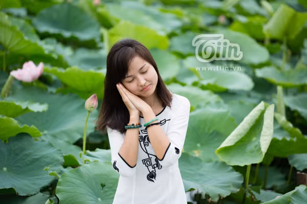 Giới trẻ Hà thành nô nức đi chụp sen Tây Hồ
