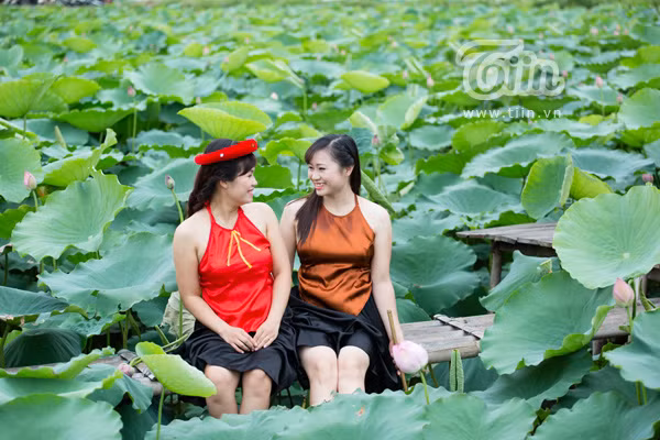 Giới trẻ Hà thành nô nức đi chụp sen Tây Hồ