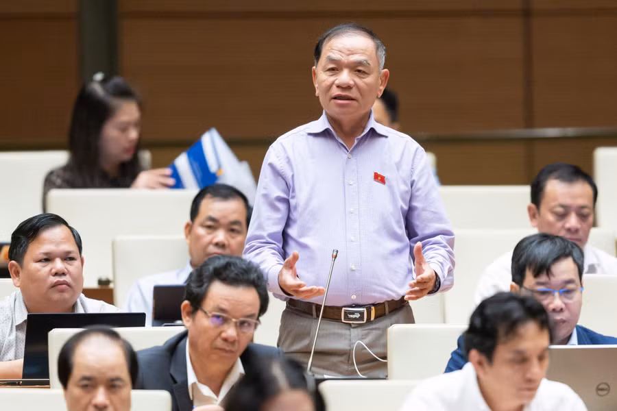 Đại biểu Lê Thanh Vân (Cà Mau). Đại biểu Lê Thanh Vân (Cà Mau).