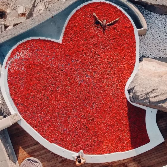  Và đây, quán quân của dịp lễ Valentine này là một bể bơi khổng lồ hình trái tim phủ đầy cánh hoa hồng!