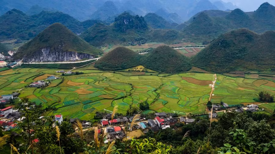Cao nguyên Đồng Văn: Rải rác xung quanh tỉnh Hà Giang xinh đẹp, du khách sẽ trải nghiệm cuộc sống làng quê bản địa, ngắm nhìn hệ động thực vật phong phú và thậm chí có thể lên đỉnh của một trong những ngọn núi 550 triệu năm tuổi.