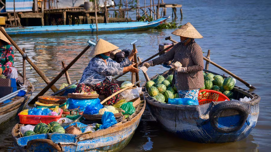 Cần Thơ: Một trong những thành phố đẹp nhất nằm dọc đồng bằng sông Cửu Long, đây là địa điểm thú vị với những khu rừng ngập mặn và chợ nổi .