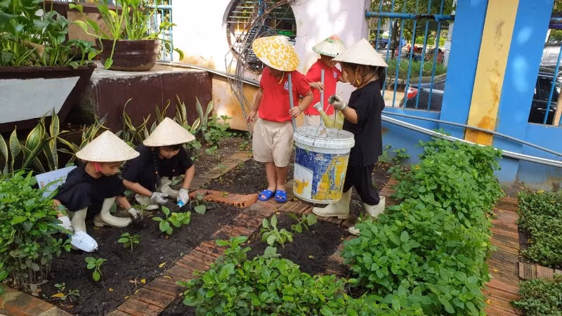 Học sinh Trường MN Trí Đức 1 chăm sóc vườn rau.
