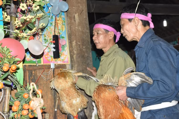 Gà trống là linh vật không thể thiếu trong lễ nhảy lửa.