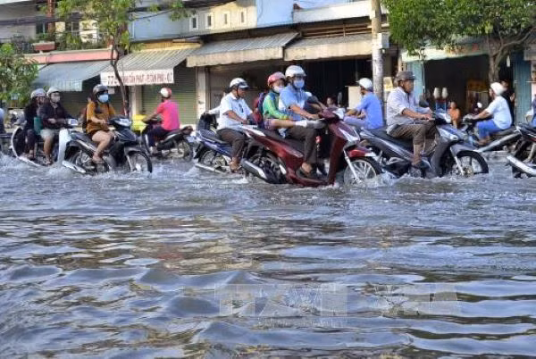 Hạ nguồn sông Cửu Long và thành phố Hồ Chí Minh nguy cơ ngập lụt sâu (Internet)