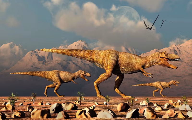 Một con khủng long T.rex có thể có trọng lượng trung bình 5,2 tấn.