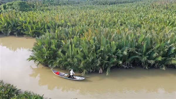 Những rặng dừa nước um tùm là nơi Khá trú ẩn trên đường lẩn trốn.