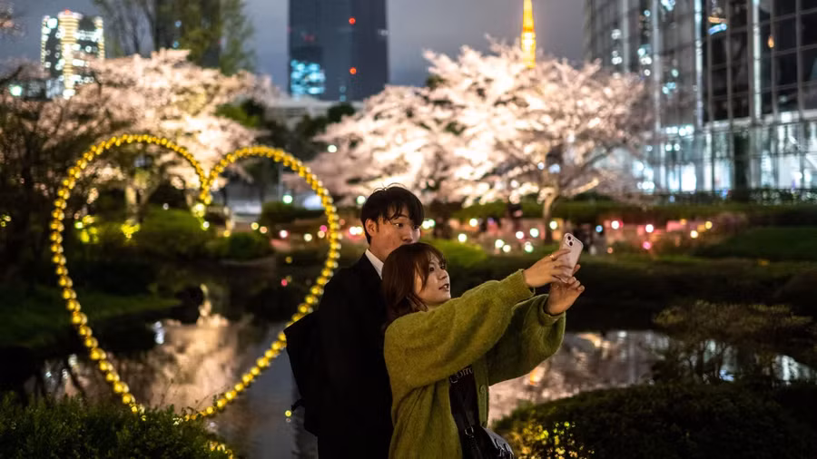 Đôi nam nữ chụp ảnh với hoa anh đào ở quận Roppongi của Tokyo. Ảnh: AFP