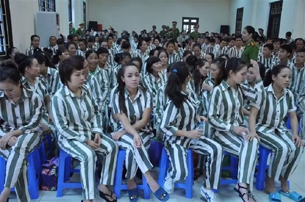 Ảnh minh họa