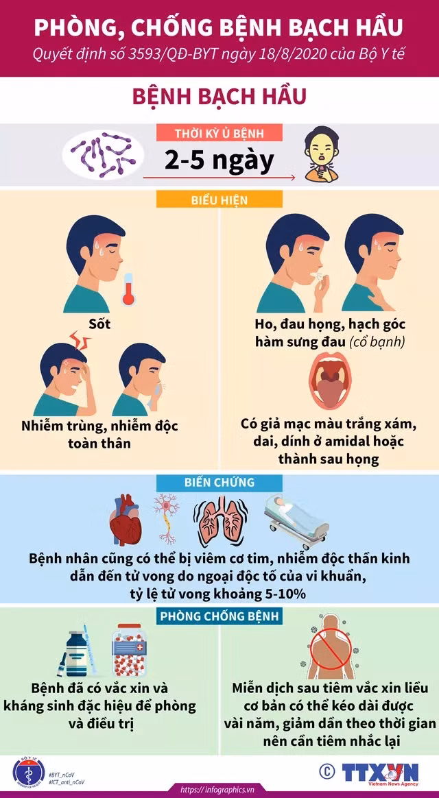 Phát hiện 3 ca bệnh bạch hầu ở huyện miền núi Kỳ Sơn, Nghệ An ảnh 1