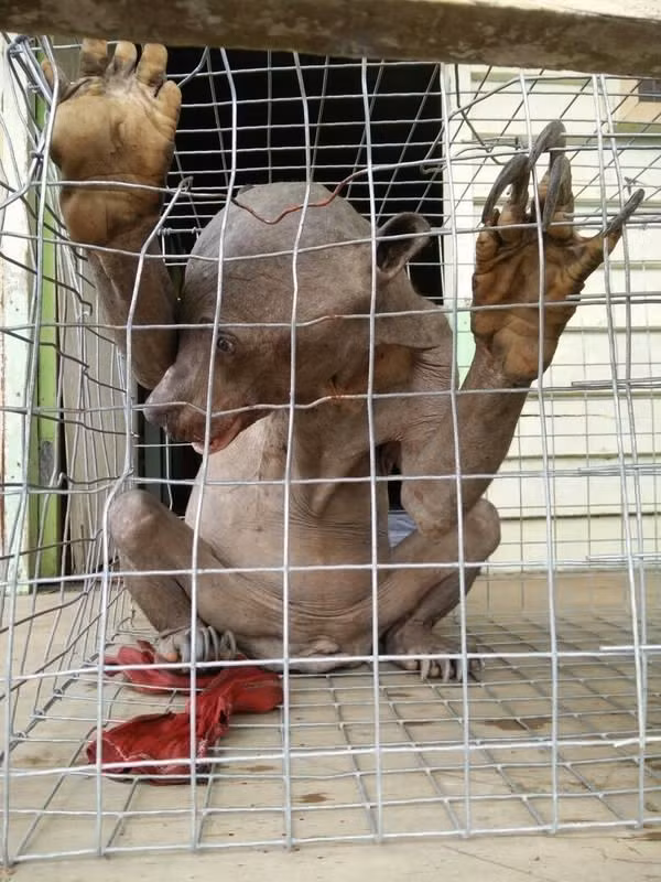 Bắt được Bắt được