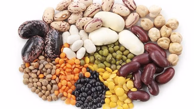 Các chất xơ hòa tan prebiotic trong hạt đậu được chuyển hóa và trở thành axit béo chuỗi ngắn sẽ triệt tiêu hoặc thu hẹp kích thước của mỡ nội tạng.