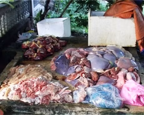 Phat hien hon 400 kg noi tang hoi thoi, boc mui - Anh 1