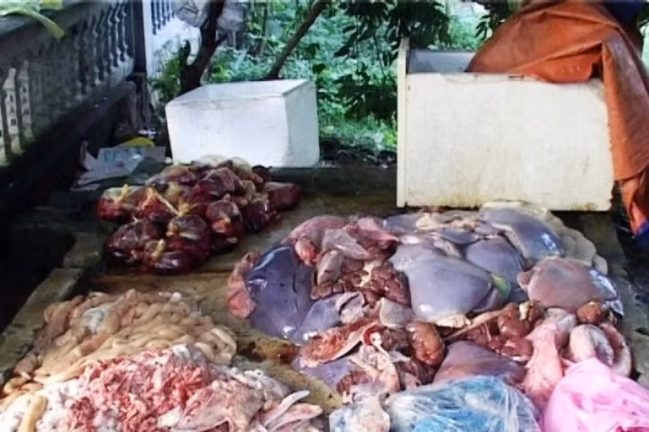 Phát hiện hơn 400 kg nội tạng hôi thối, bốc mùi