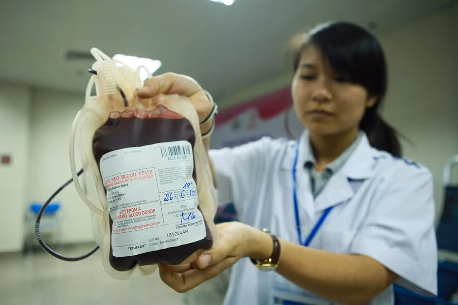 Khám phá đường đi của một đơn vị máu tại viện Huyết học ảnh 2