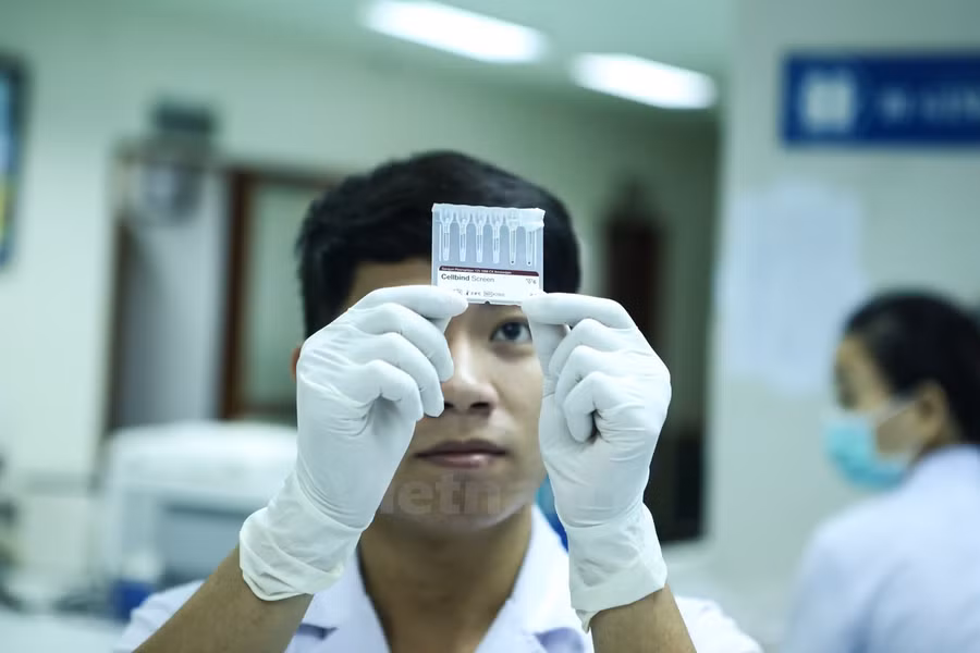 Khám phá đường đi của một đơn vị máu tại viện Huyết học ảnh 8