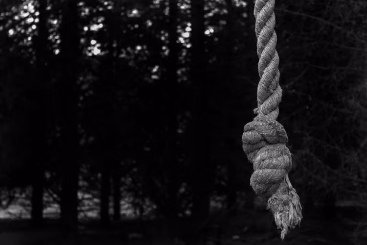 Rừng Aokigahara: Nơi tự sát bí ẩn nhất thế giới ảnh 6