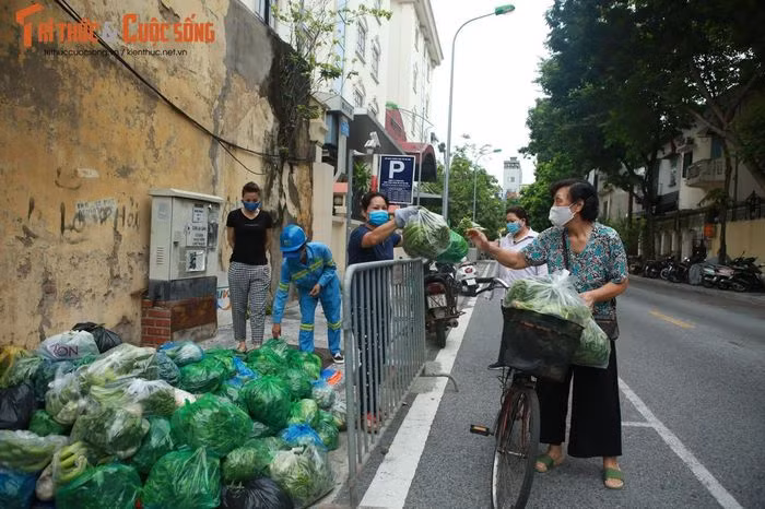Được biết, hàng ngày 2 chị phải dậy từ 3h sáng để đi thu gom, mua rau sau đó chở sang nơi làm việc. Ảnh: Tri thức và cuộc sống.